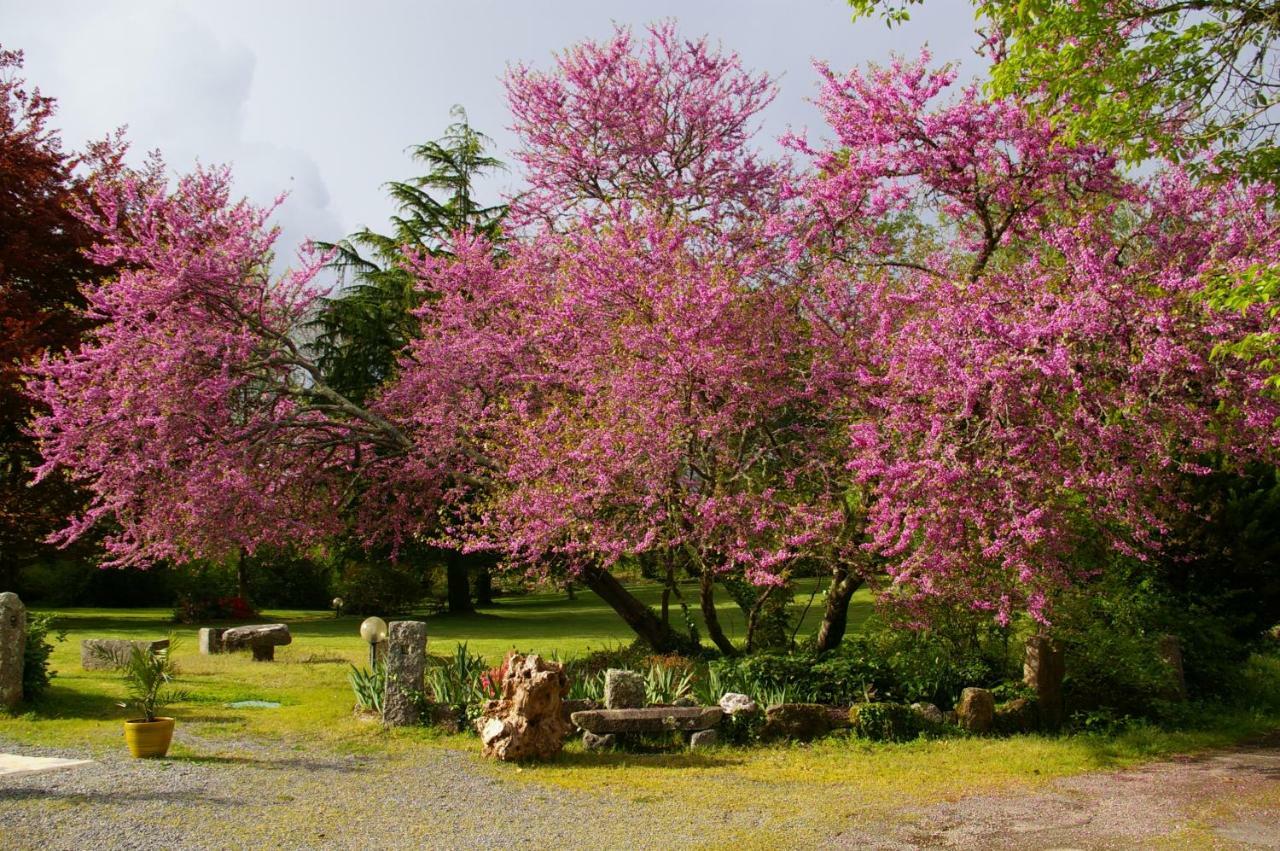 Domaine Les Grandes Roches Bed and Breakfast Trégunc Exterior foto