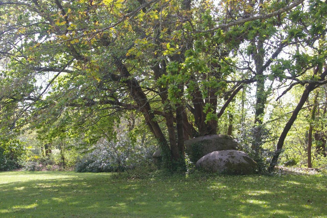 Domaine Les Grandes Roches Bed and Breakfast Trégunc Exterior foto